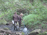 &copy; Zierfischfreunde Immenhausen-Holzhausen